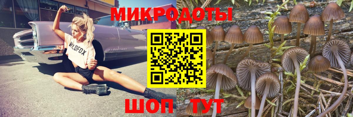 Сердобск  Галлюциногенные грибы GOLDEN TEACHER  Вход с VPN 