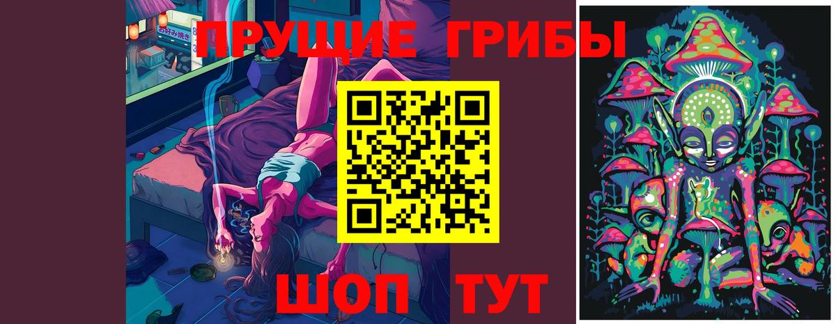 Псилоцибиновые грибы Psilocybine cubensis Сердобск